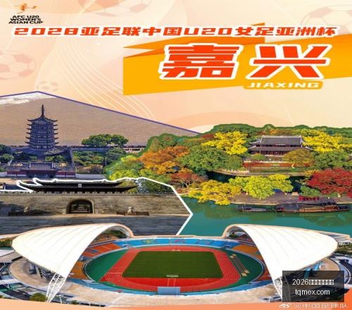 欧锦赛事高,立陶宛连胜,之下与以色,2026世界杯投注买球,世界杯投注,足球博彩,体育赛事投注,世界杯买球,赔率分析,投注技巧,世界杯比赛